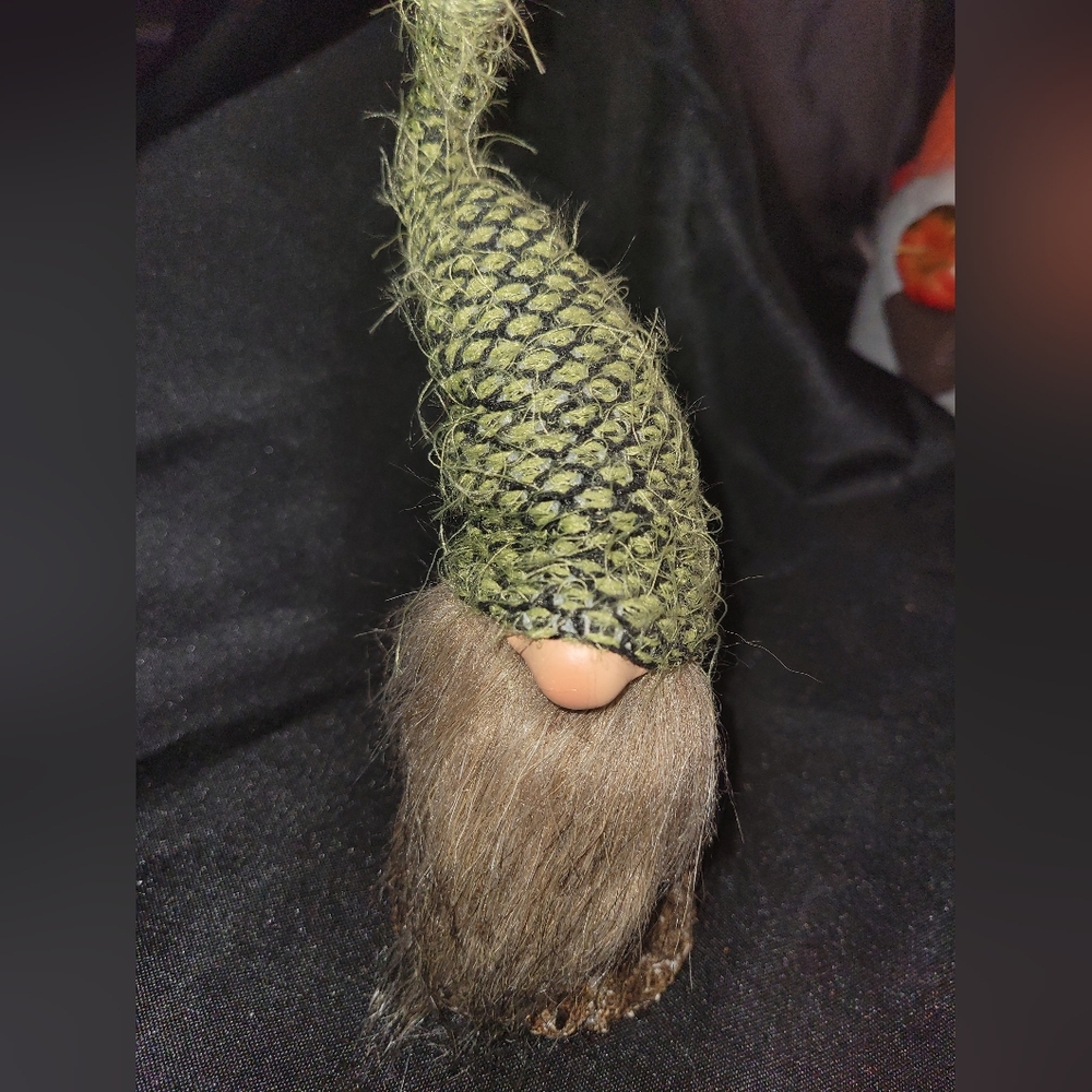 Woodsy Gnome Decor